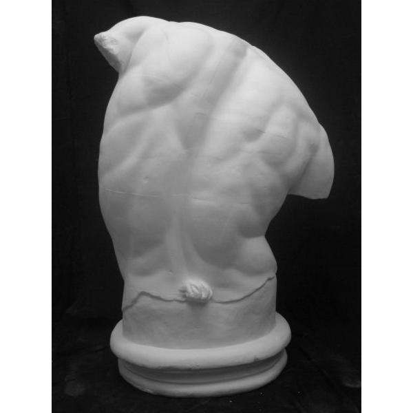 T−508 ファウンのトルソ（ガッディのトルソ） : 石膏像ドットコム