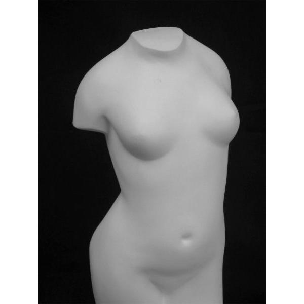 T−511 トルソー女子（特小） : 石膏像ドットコム - 通販 - Yahoo