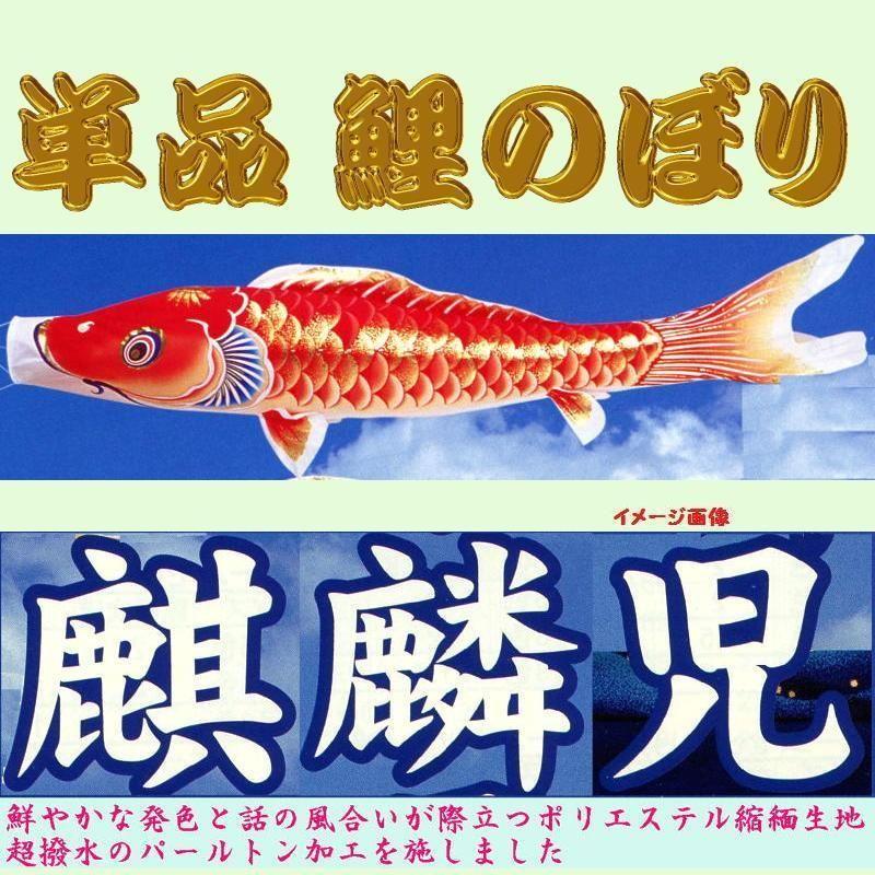 単品こいのぼり☆麒麟児鯉☆赤5m鯉のぼり : 節句人形 単品こいのぼり☆麒麟児鯉☆赤5m鯉のぼり : 節句人形