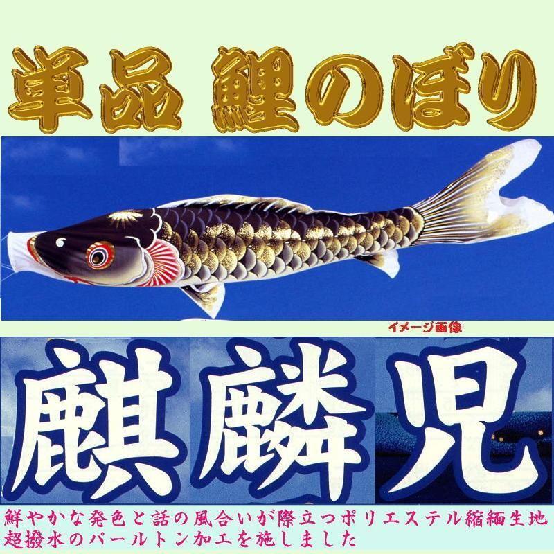 単品こいのぼり☆麒麟児鯉☆黒５ｍ鯉のぼり