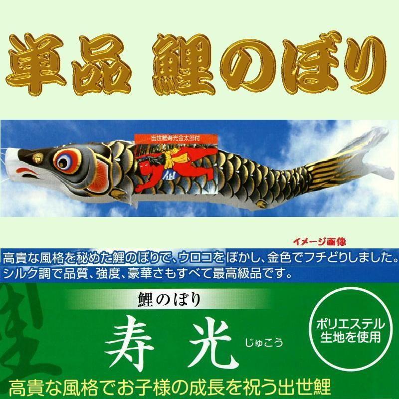 単品こいのぼり☆寿光鯉☆金太郎付黒5m鯉のぼり : 節句人形
