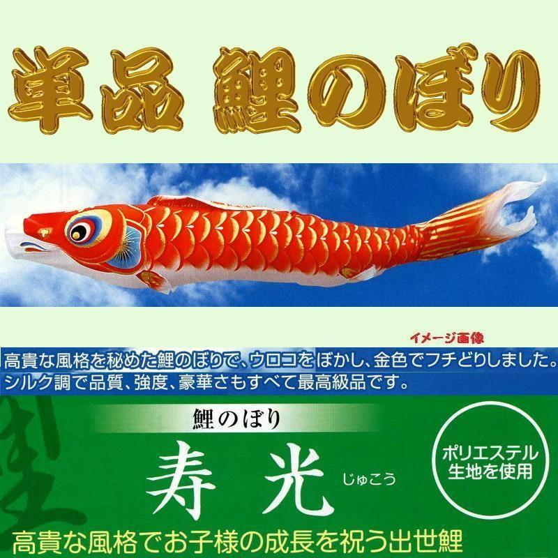 鯉のぼり 赤色 5m こいのぼり 単品 ゴールド鯉 5m 単品鯉 黒 赤 青 緑