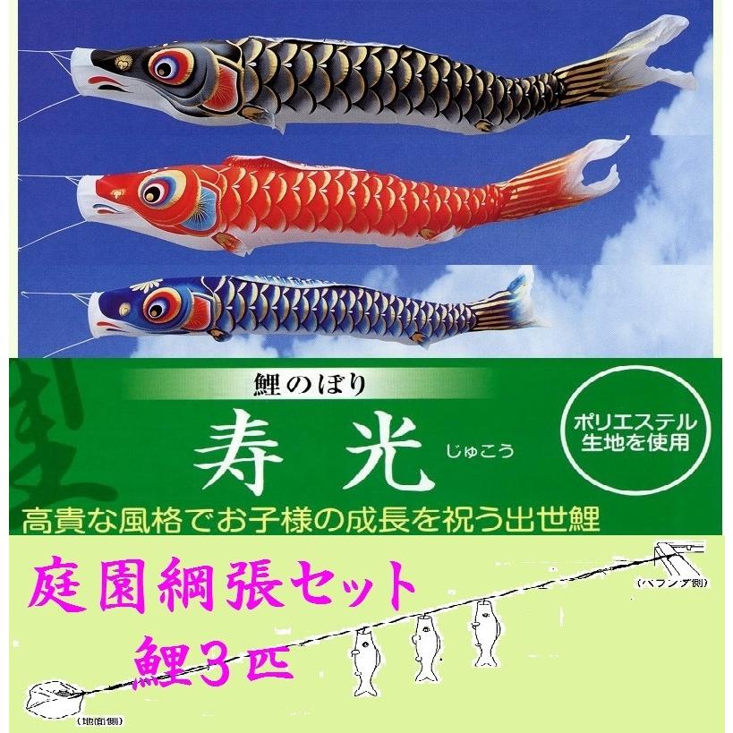 鯉のぼり☆庭園綱張セット☆寿光鯉3匹12号☆お庭などにロープを張り