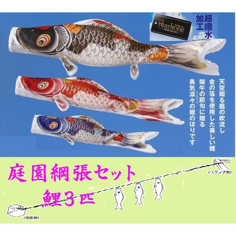 鯉のぼり☆庭園綱張セット☆天勇鯉3匹12号☆お庭などにロープを張り 