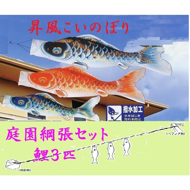 鯉のぼり☆庭園綱張セット☆昇風鯉３匹１５号☆お庭などにロープを張り鯉幟を取り付ける簡単おてがるセット（こいのぼり付フルセット化粧箱入）