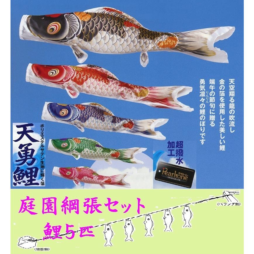 鯉のぼり☆庭園綱張セット☆天勇鯉5匹12号☆お庭などにロープ 鯉のぼり☆庭園綱張セット☆天勇鯉5匹12号☆お庭などにロープ