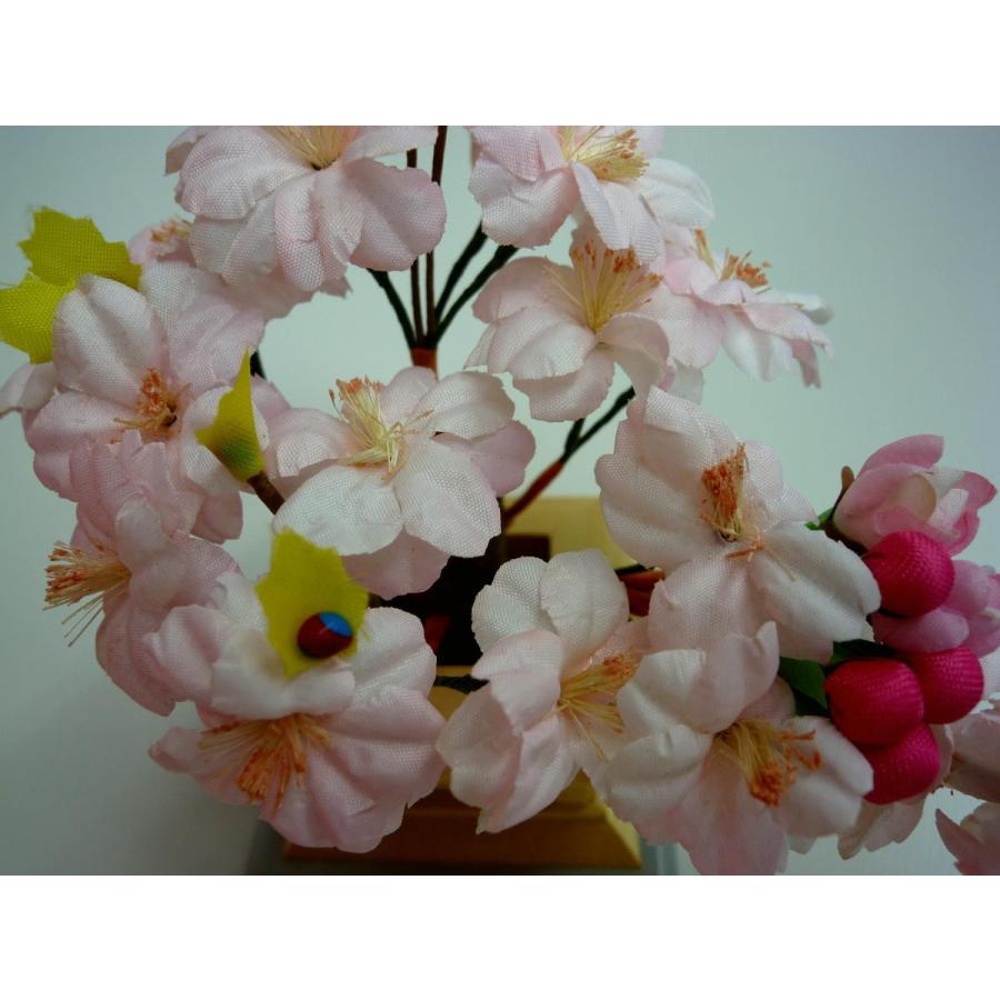 雛まつり☆御花単品☆桜橘醍醐自然木8号(高さ13cm)☆京都御所に