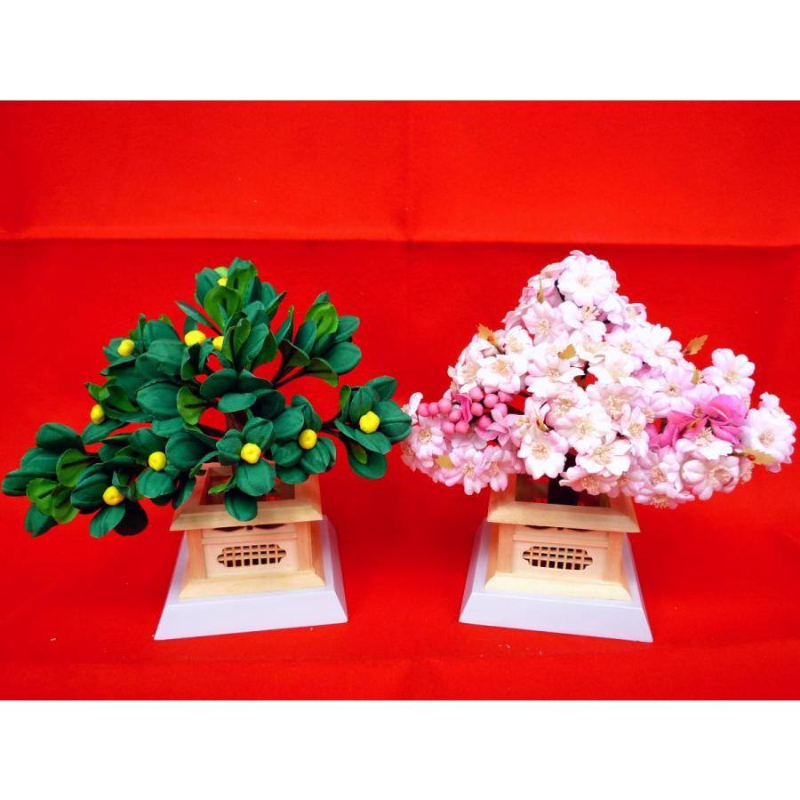雛まつり☆御花単品☆桜橘醍醐気取らない木２０号(高さ２２ｃｍ)☆京都九重の天にならって向かって右に左近の桜、向かって左に右近の橘を飾ります