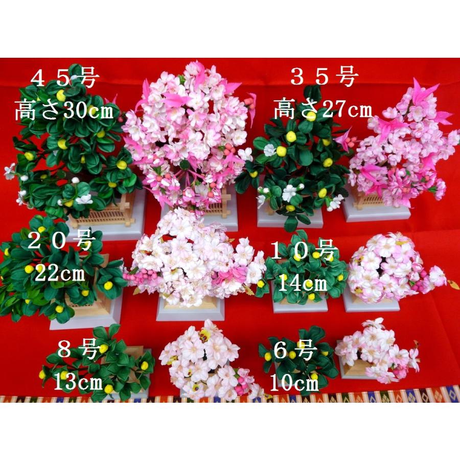 雛まつり☆御花単品☆桜橘醍醐自然木45号(高さ30cm)☆京都御所に