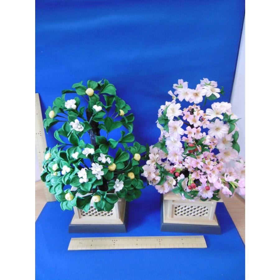 雛まつり☆御花単品☆桜橘明日香自然木40号(高さ33cm)☆京都御所