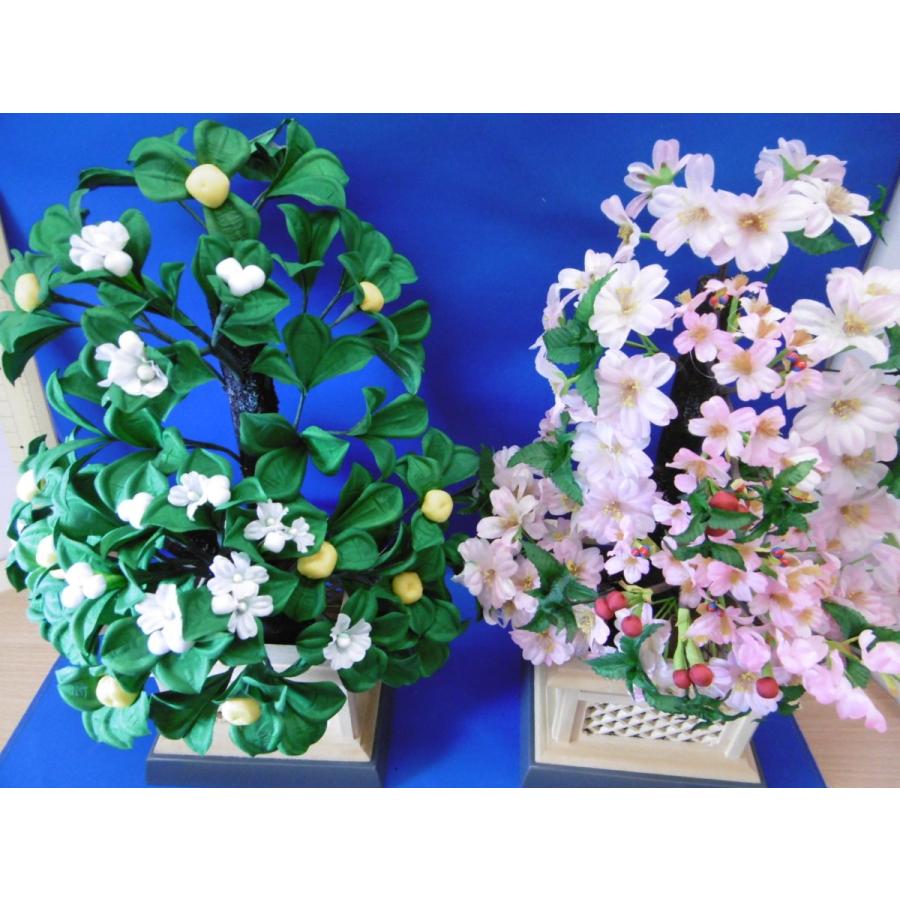 雛まつり☆御花単品☆桜橘明日香自然木40号(高さ33cm)☆京都御所