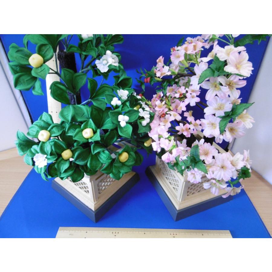 雛まつり☆御花単品☆桜橘明日香自然木40号(高さ33cm)☆京都御所