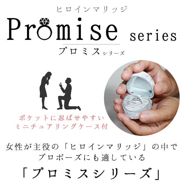 結婚指輪 婚約指輪 プラチナ シルバー Pt950 安い 指輪 ヒロインマリッジ プロミスシリーズ 11-4157SV_ 20-0857PT (L35)の画像
