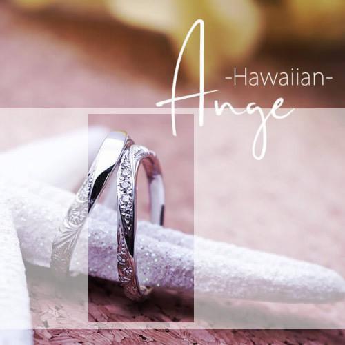 人気特価激安 Ange アンジェ Hawaiian ハワイアンピンキーリング 28 1770 K10wg 単品 偶数号 対応 10k K10wg ホワイトゴールド 指輪 プレゼント 小指 誕生日 記念日 正規激安 Www Clinicagastroservice Com Br