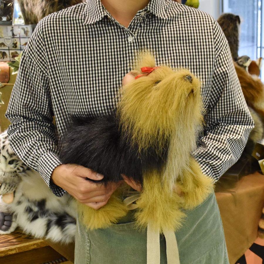 ハンサ(HANSA) 動物 ぬいぐるみ ヨークシャーテリア No.5909 |  | 08