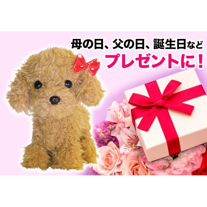 快適生活 お話し大好きロボットアニマル (ふわふわトイプードル)