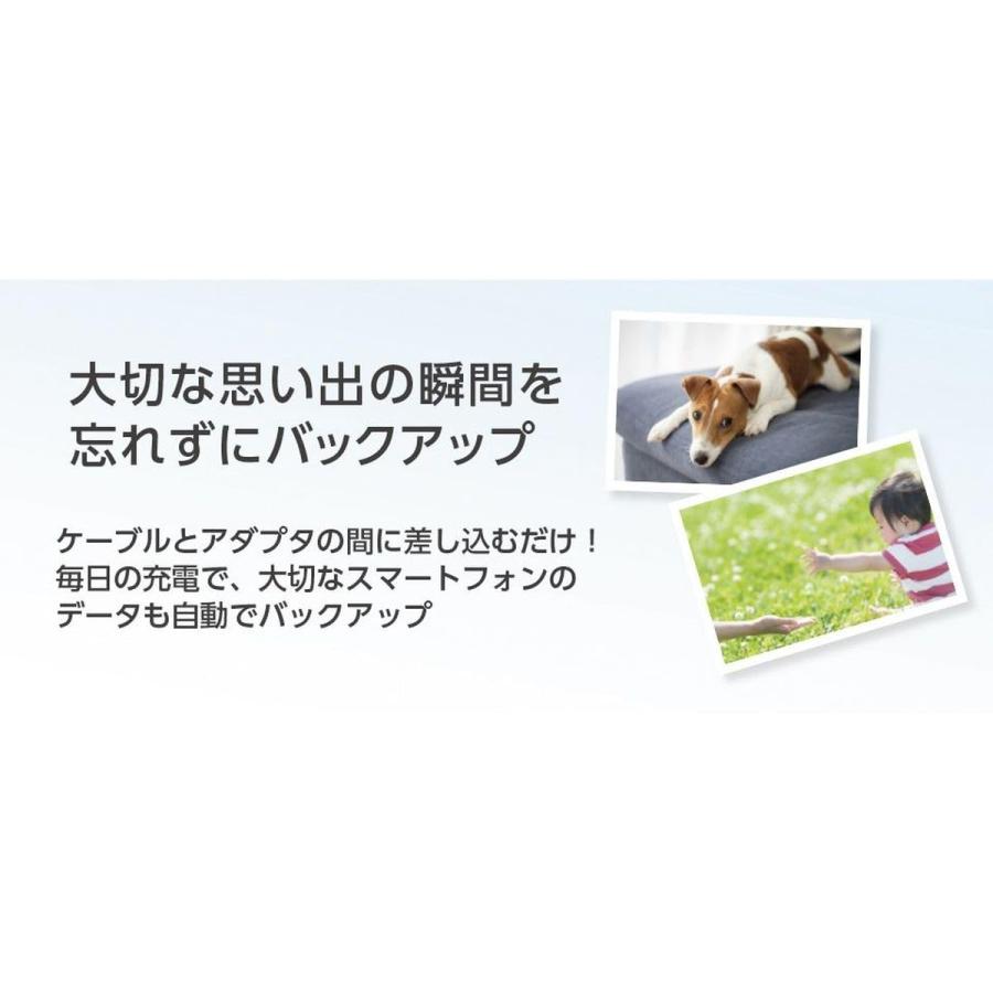 docomo select メモリー内蔵アダプタ PhotoCube C SE 256GB