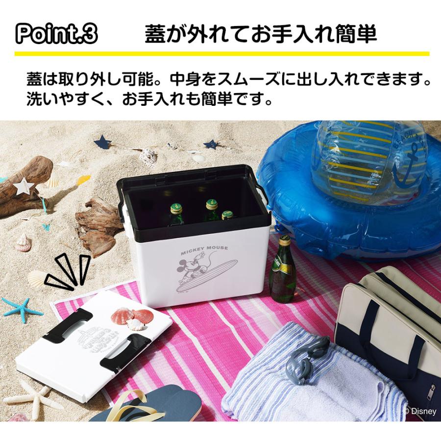 SANKA クーラーボックス 小型 ディズニー 12L クーラーバッグ SANKA クーラーボックス 小型 ディズニー 12L クーラーバッグ