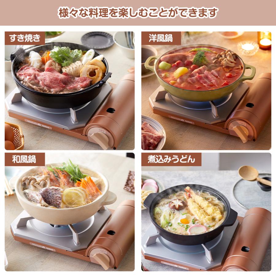 達人スリムプラス イワタニ カセットコンロ カセットフー CB-TS-PLS 保証書付き 薄型 カセットガス 卓上 | Iwatani | 06