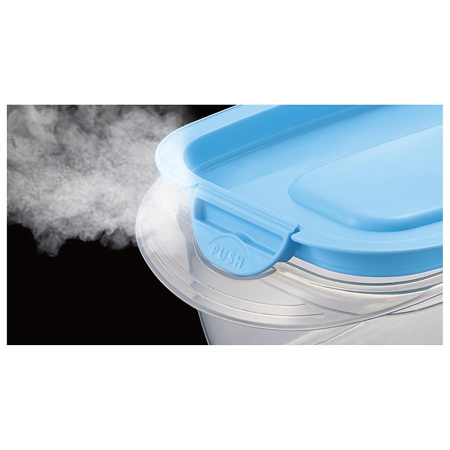 Pack Staff（EBiSU） エビス パックスタッフ フィットロック 1.0L 2コ