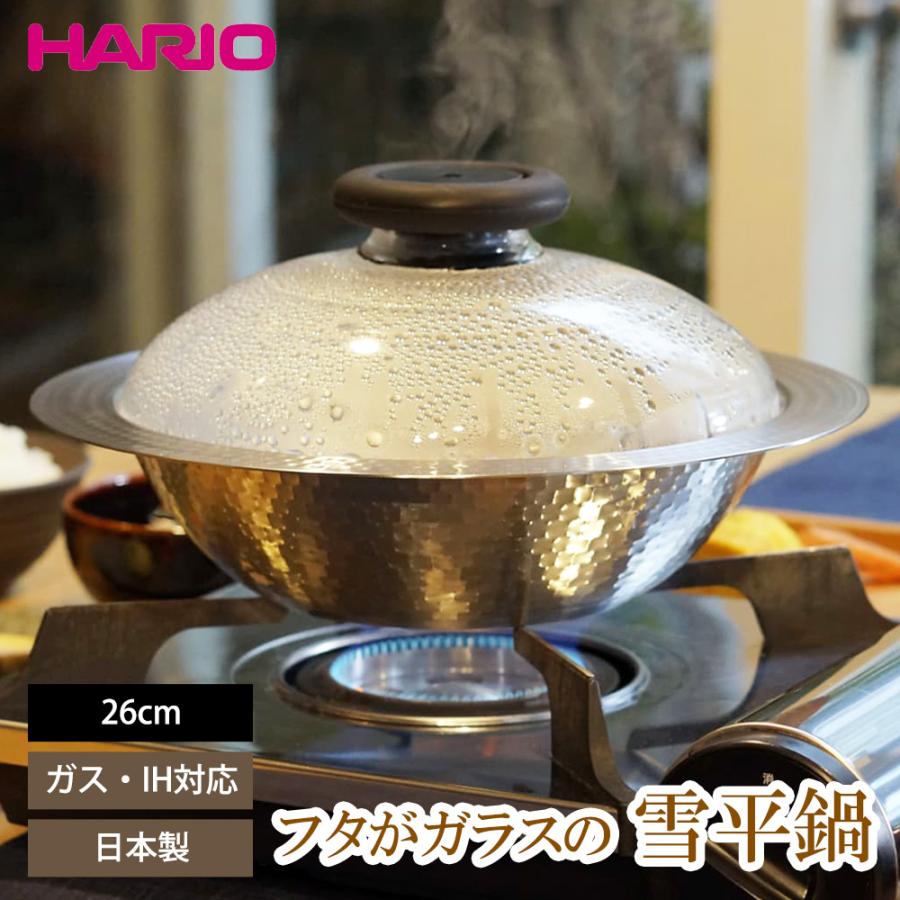HARIO（ハリオ） ステンレス鍋 26cm 雪平鍋 フタがガラスのIH対応