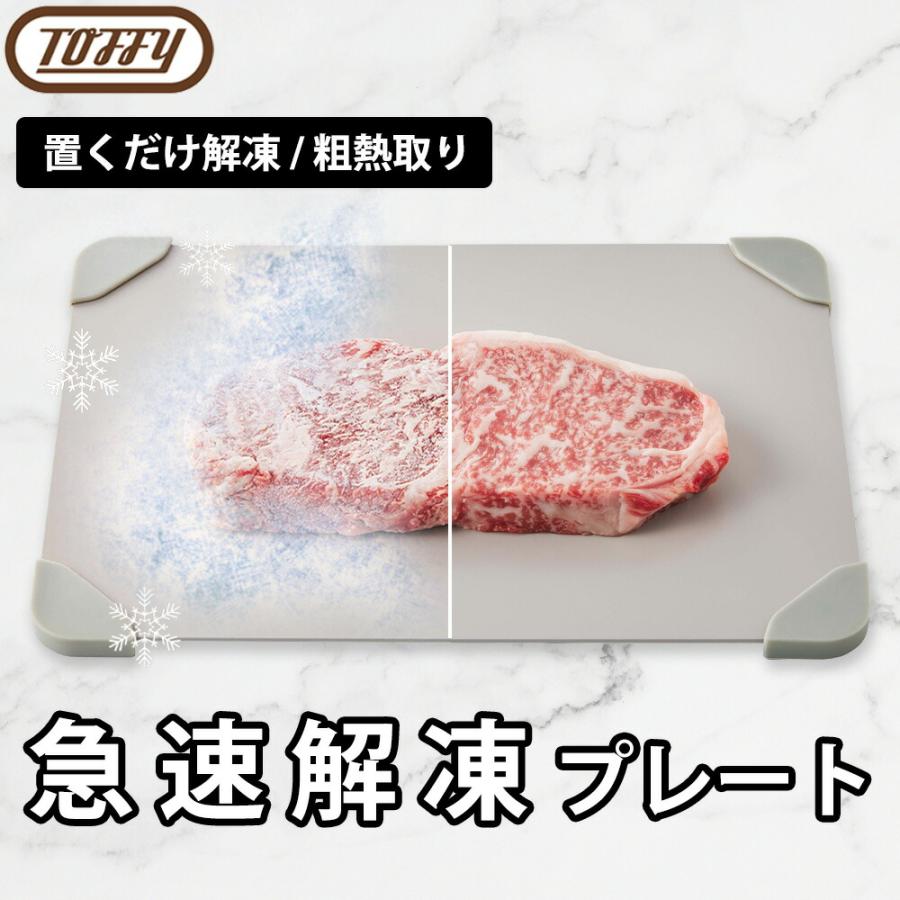 解凍プレート Toffy プレート 急速解凍 スピード解凍 解凍 粗熱 お弁当 粗熱取り 滑り止め 放熱 魚 刺身 肉 エコ 調理器具 自然解凍 冷凍食品 業務用 家庭用 | Toffy
