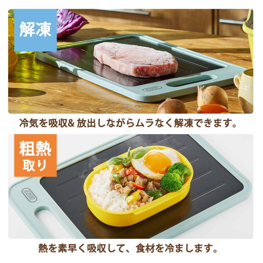 まな板 解凍プレート付きカッティングボード Toffy プレート 急速解凍 スピード解凍 粗熱 お弁当 粗熱取り 抗菌まな板 薬味おろし 魚 刺身 肉 エコ 調理器具 | Toffy | 03