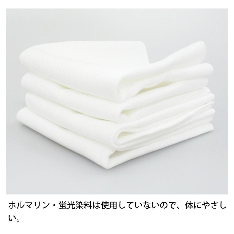 アズマ工業 厚地大判ふきん 10枚セット 大きい キッチンクロス タオル