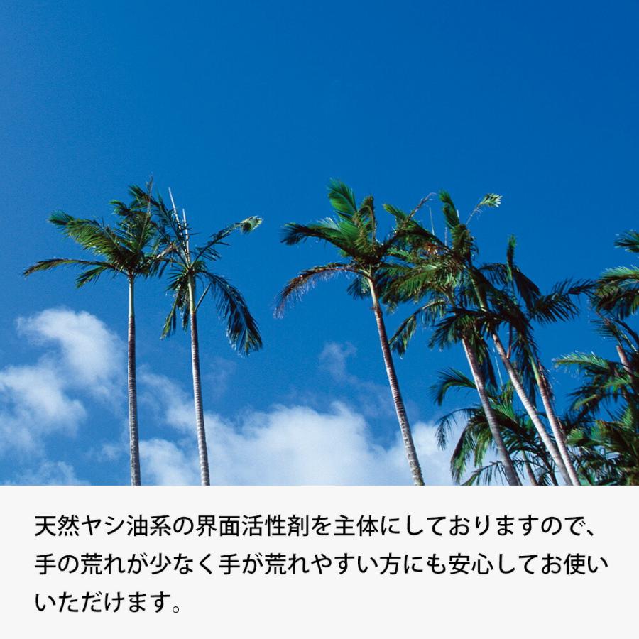 エリートセンザイ 300g 日本製 固形タイプ 食器洗い 食器用洗剤 洗い物 台所用固形洗剤 吸盤付き 吸盤固定式 手の荒れが少ない 手に優しい 手荒れ 無リン洗剤 | マリーヌ | 02