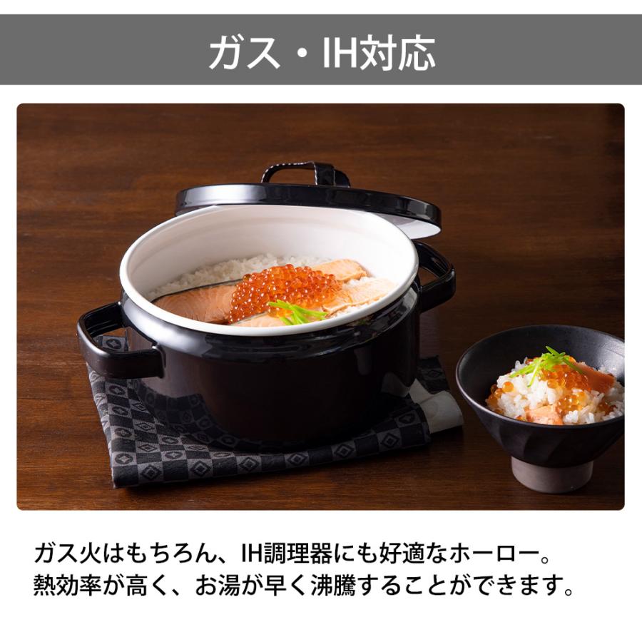 富士ホーロー 両手鍋 20cm ガス 直火 IH対応 匠シリーズ 3.0L 3L 蓋