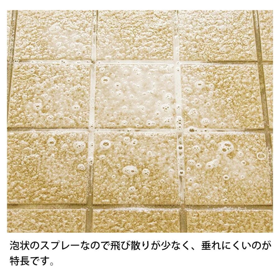 アズマ工業 アズマジック 玄関床洗剤 400ml 日本製 黒ズミ 洗剤 タイル