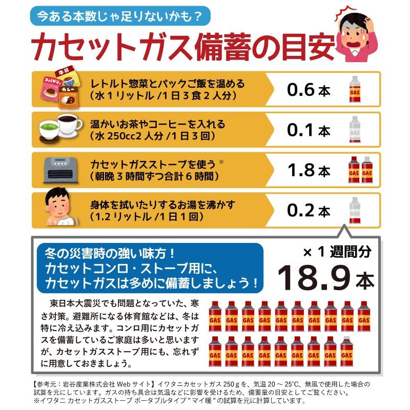 イワタニ カセットガス カセットボンベ 250g×３本パック 岩谷産業