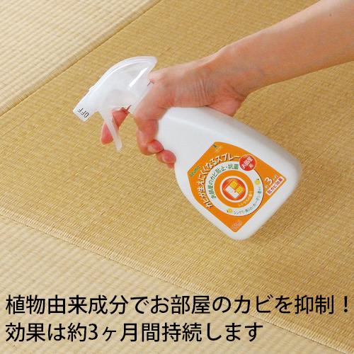 アズマ工業 カビ防止 湿気対策 防カビ スプレー 植物由来成分