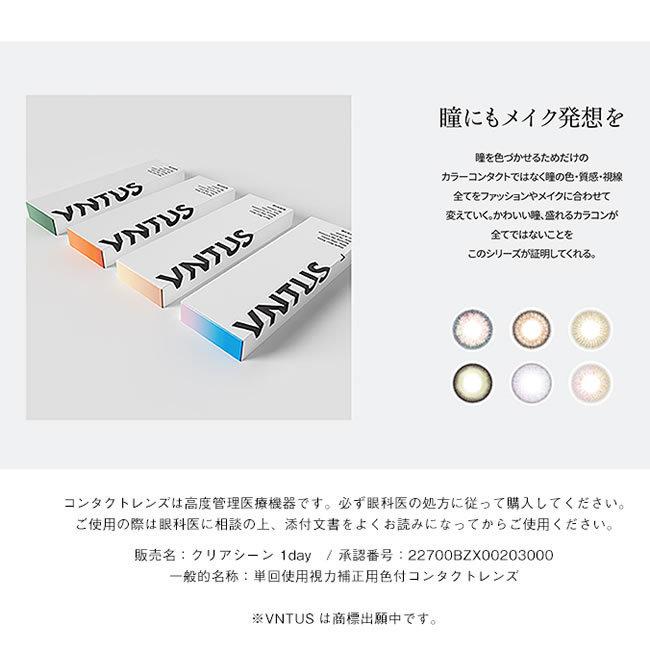 ヴァニタス VNTUS カラーコンタクトレンズ Kokiモデル(1箱10枚)｜select-eyes｜08