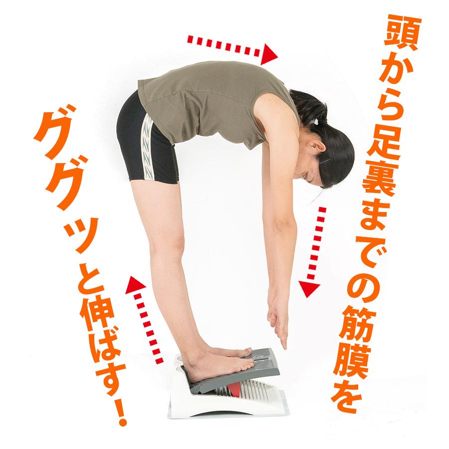 アサヒ ストレッチングボードEV Ver.2 オレンジ レッド 柔軟 アサヒ ストレッチングボードEV Ver.2 オレンジ レッド 柔軟