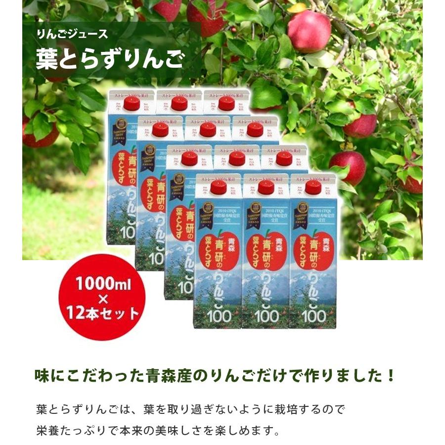 青森県産 青研 葉とらずりんごジュース ストレート100%果汁 1L×12本セット 無添加 国産 紙パック ギフト｜select-mofu-y｜02