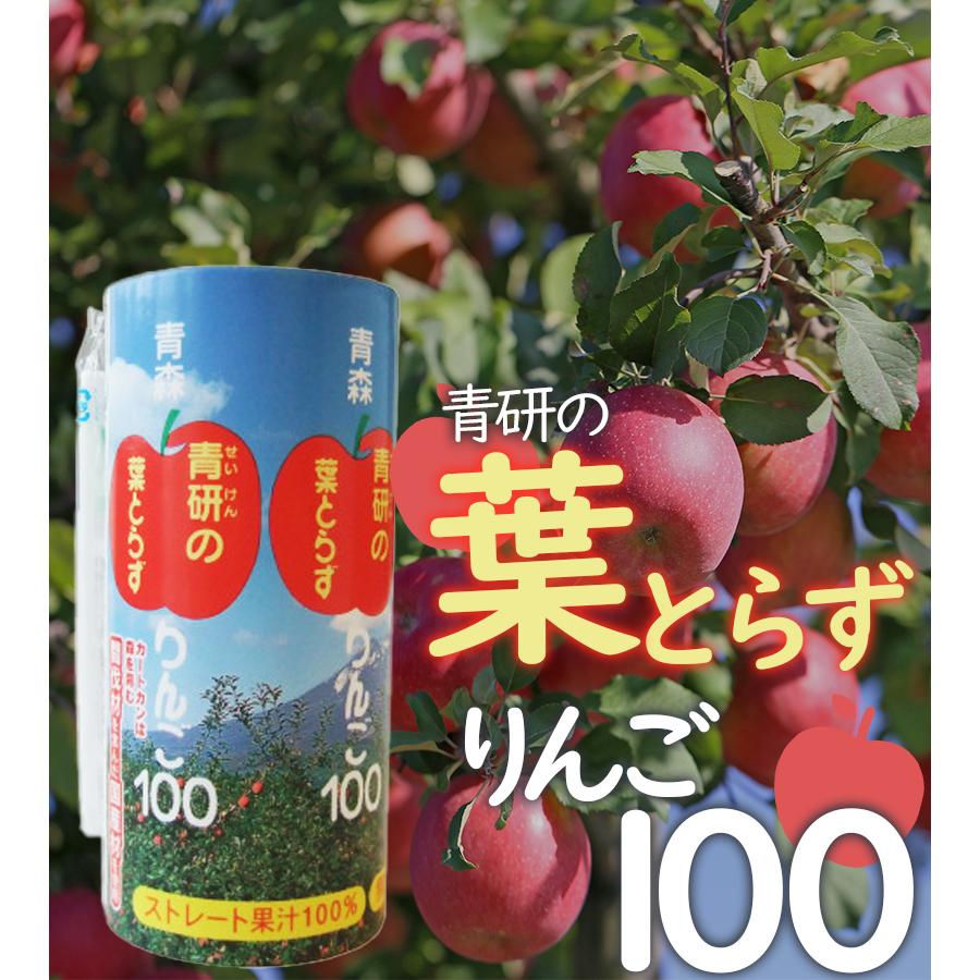 青森 青研 葉とらずりんごジュース ストレート100%果汁 195g×30