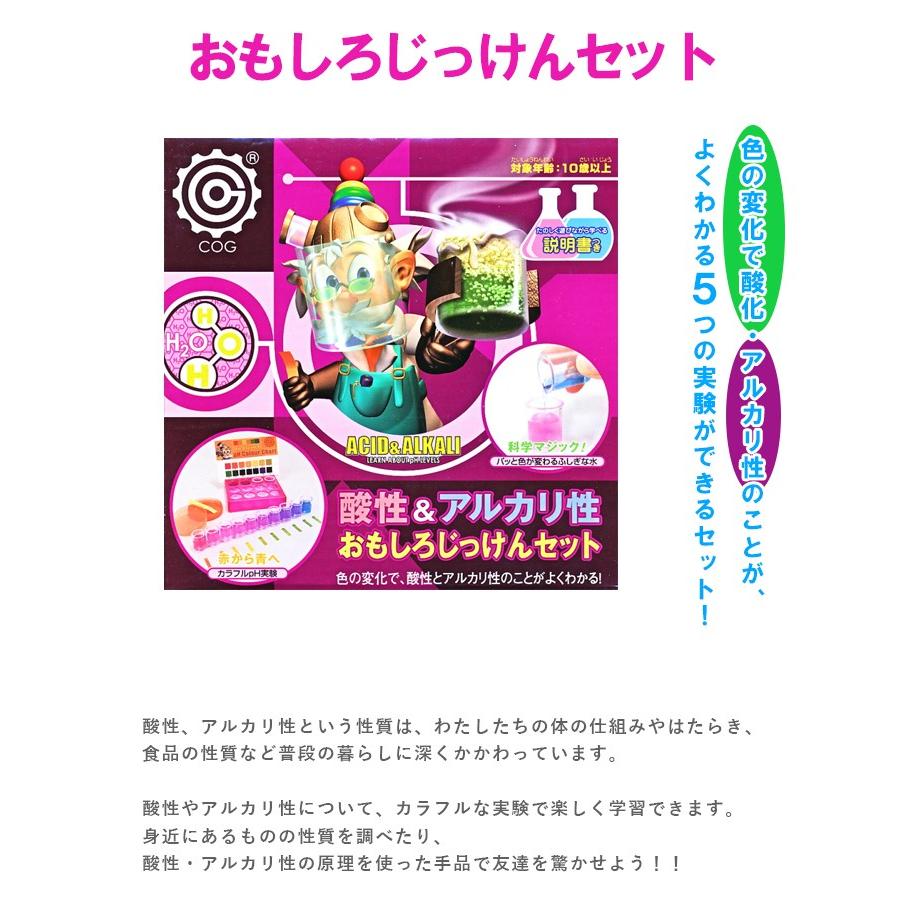 酸性 & アルカリ性 おもしろじっけんセット #E2387-1 新日本通商
