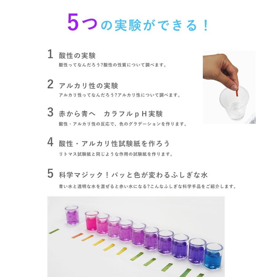 酸性&amp;アルカリ性 おもしろじっけんセット E2387-1 Amazon | 酸性&アルカリ性 おもしろじっけんセット E2387-1