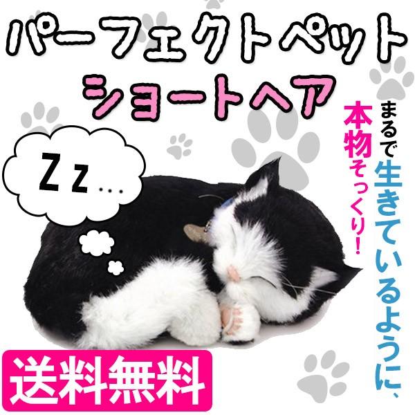 Perfect Petzzz パーフェクトペット ショートヘア 6606 ぬいぐるみ 猫 ユニコム
