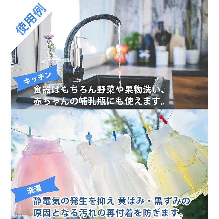 環境洗剤(エコ洗剤) 衣類・キッチン用 ココナツ洗剤 4L 多目的 香料無