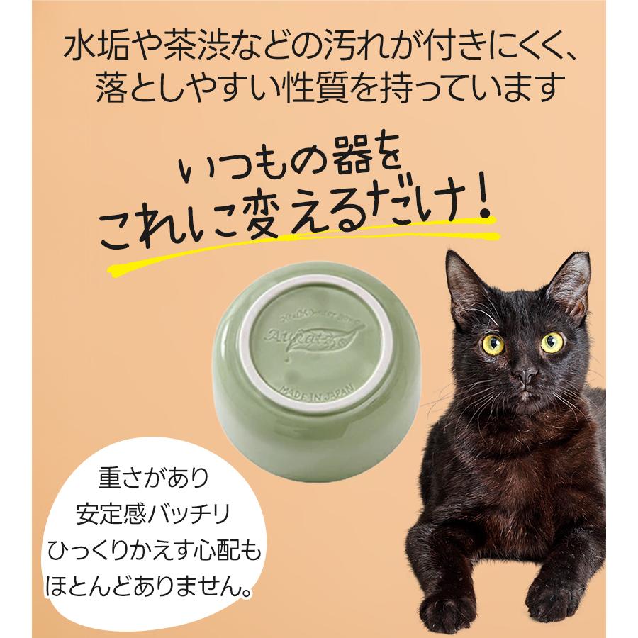 猫 水皿 ヘルスウォーター ボウル Mサイズ 食器 水飲み