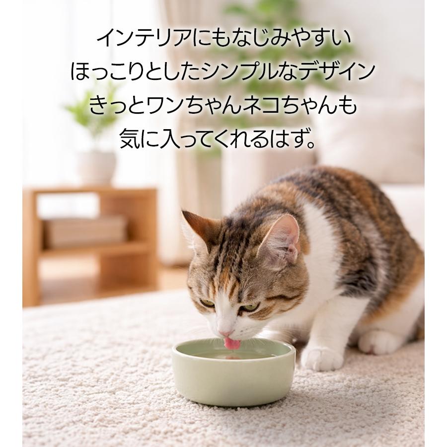 オーカッツ ヘルスウォーター ボウル 選べるサイズ S M L 食器 水飲み