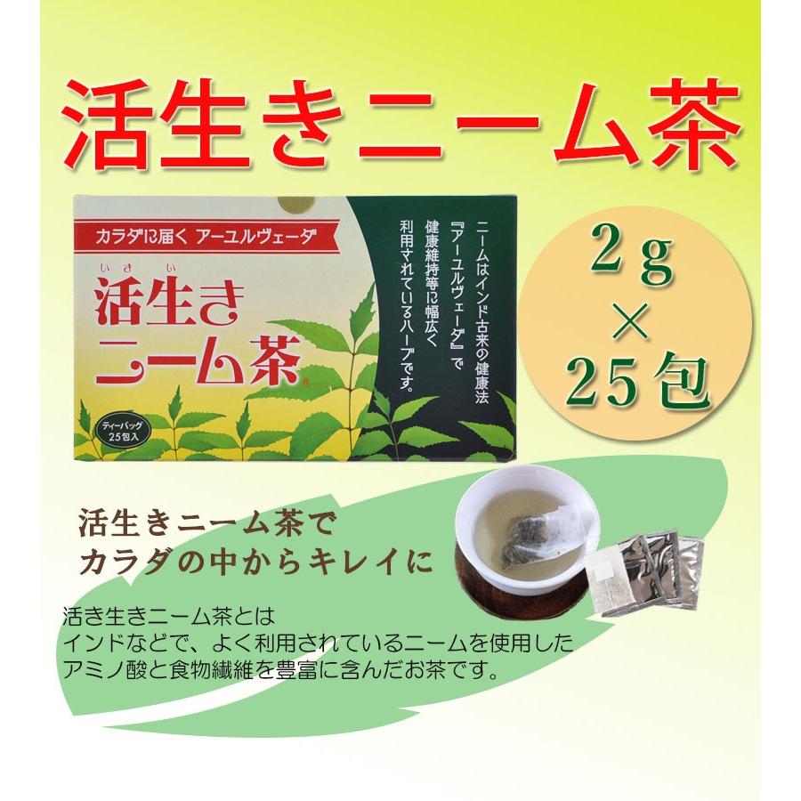 ニームかごしま 活生きニーム茶 2g 25包 1箱 インドセンダン健康茶 アーユルヴェーダ ライフスタイル 生活雑貨のmofu 通販 Paypayモール