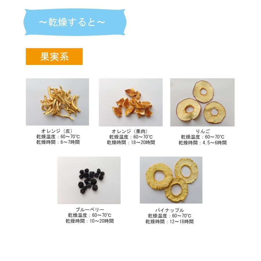 フードドライヤー 家庭用 プチマレンギ TTM-435S 食品乾燥機 手作り