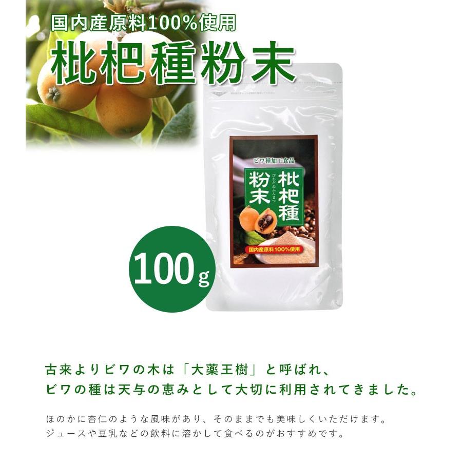 枇杷種粉末 100g サプリメント 九州産びわ種100％ 健康食品 琵琶 飲料