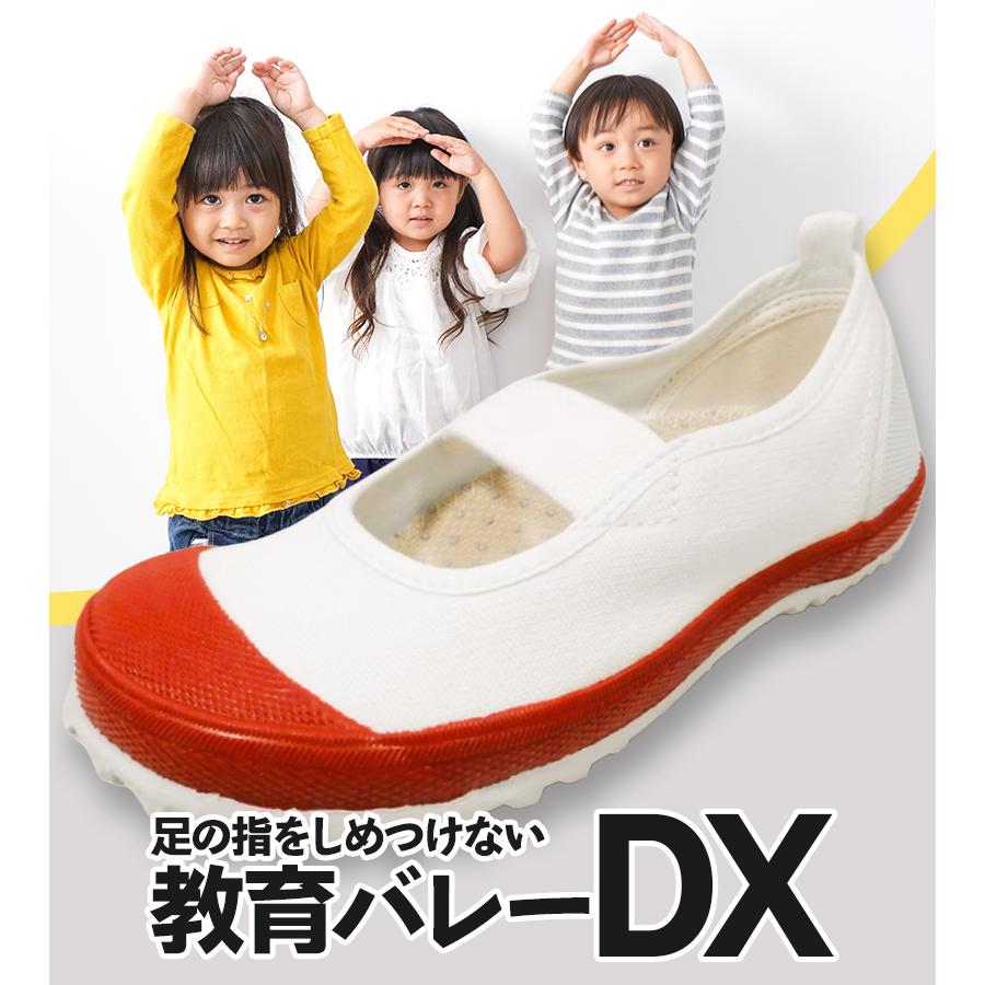 上履き 教育シューズ バレーDX 15.0ー21.0cm 室内履き スクール