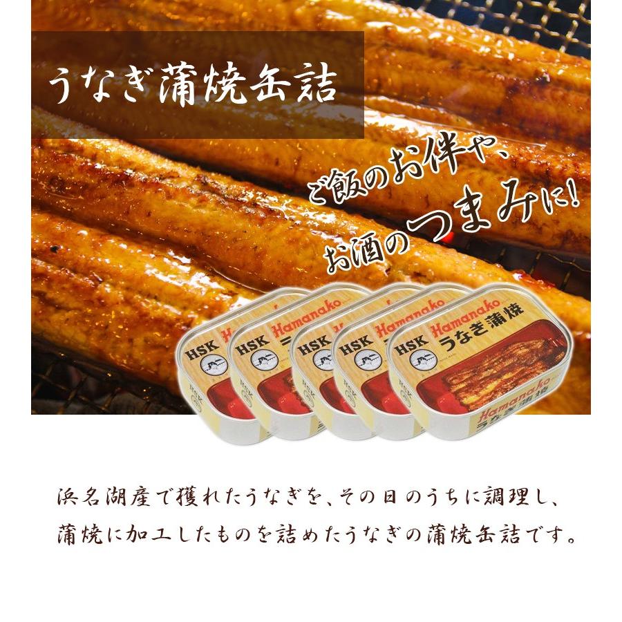 浜名湖食品 うなぎ蒲焼缶詰 100g(固形量90g)×5個セット 国産 ギフト 惣菜 鰻のかば焼き 土用の丑の日｜select-mofu-y｜02