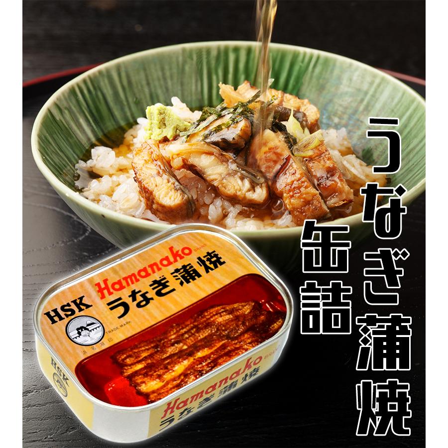 浜名湖食品 うなぎ蒲焼缶詰 100g(固形量90g)×5個セット 国産