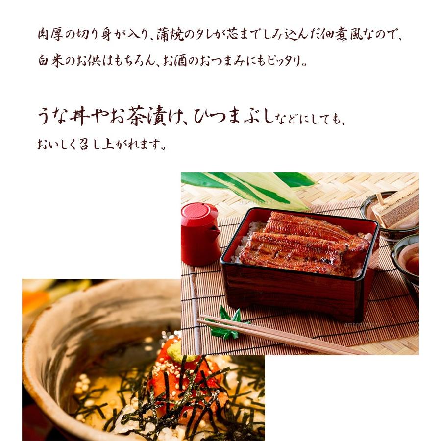 浜名湖食品 うなぎ蒲焼缶詰 100g(固形量90g)×5個セット 国産 浜名湖食品 うなぎ蒲焼缶詰 100g(固形量90g)×5個セット 国産